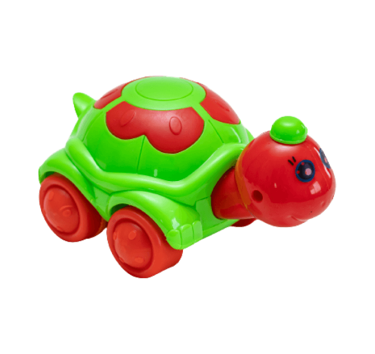 Friction Turtle Image